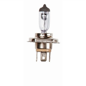 Lamp (1x) ring 12V 35/35W PX43T