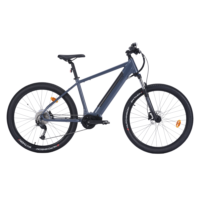 Elektrische mountainbike WAYSCRAL Anyway A2 T45 27,5 inch mat grijs