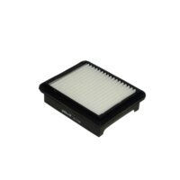 Luchtfilter PURFLUX A1104