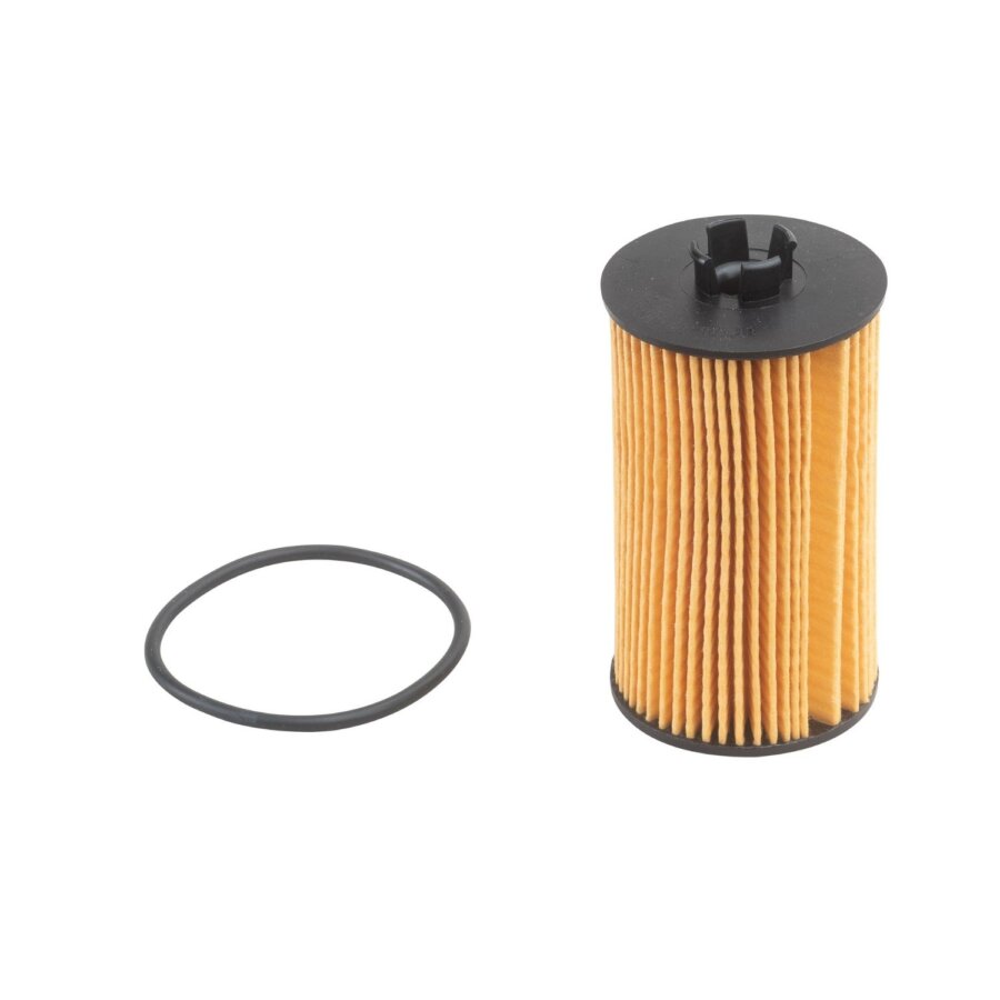Oliefilter purflux l387