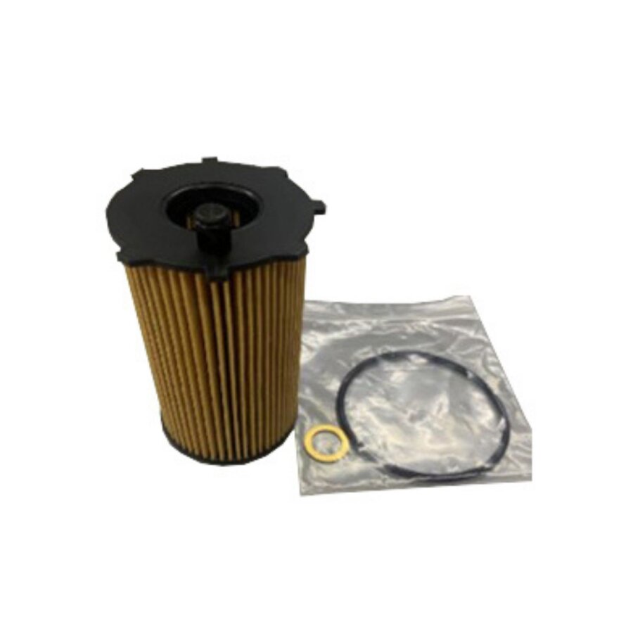 Oliefilter purflux l1153