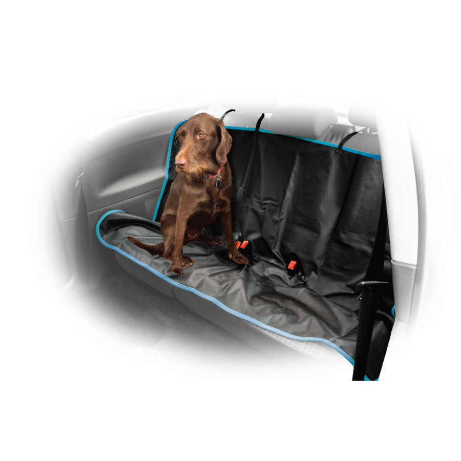 Housse de protection auto pour chien sièges arrières NORAUTO - Auto5