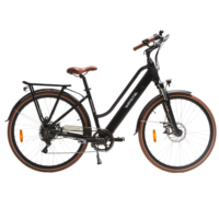 Minerva Estrel Comfort vélo électrique homme moteur central noir