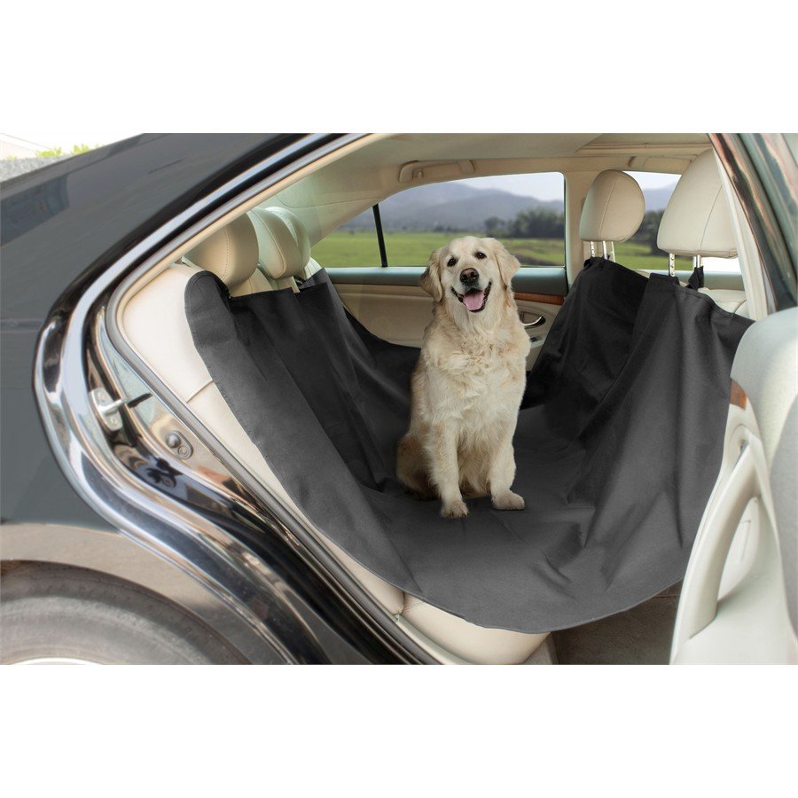 Housse de protection auto pour chien sièges arrière NORAUTO - Auto5