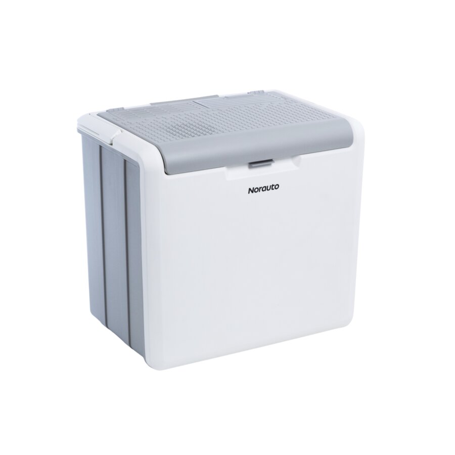 Qiilu Glacière Portable Chauffante Réfrigérateur Box Voiture