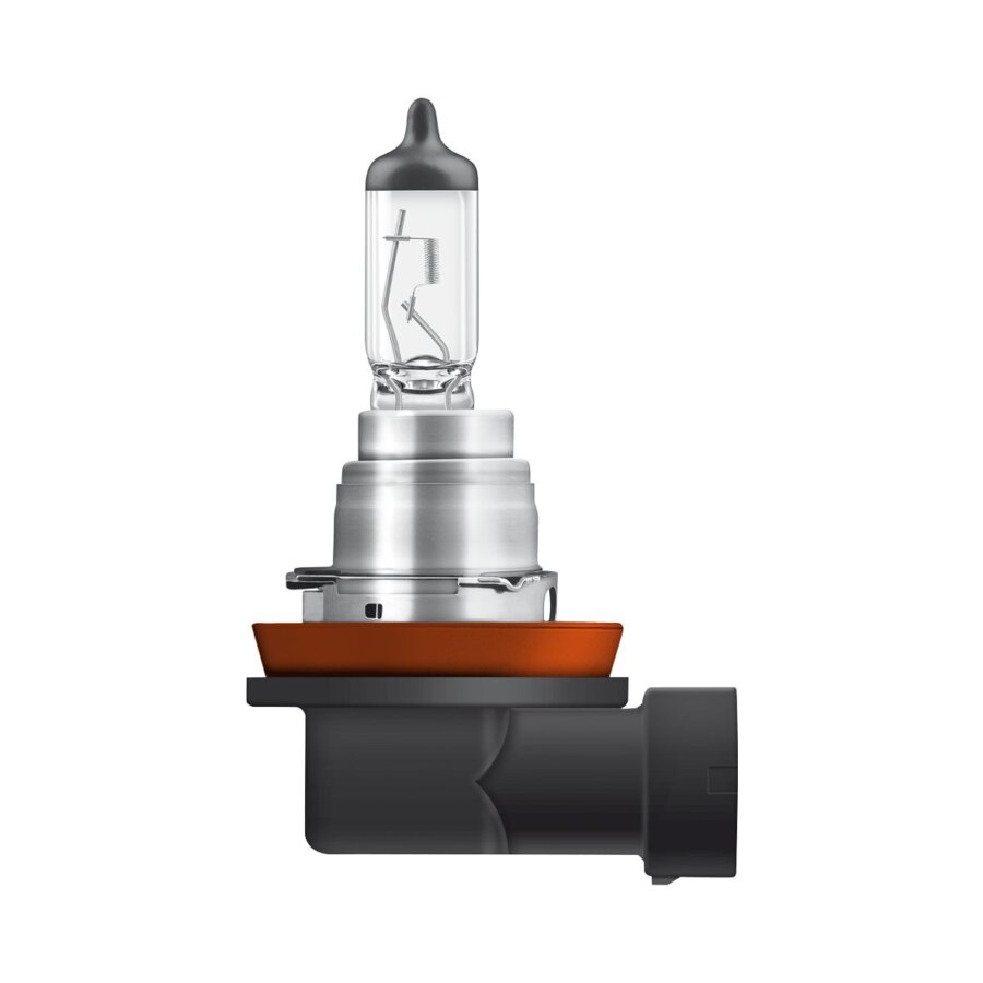 Ampoules pour RENAULT CLIO III pas cher - Auto5