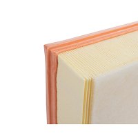 MANN-FILTER Luchtfilter, Filter, carterontluchting voor o.a. General Motors, Vme, Flottmann Werke, Lister - C 1450, 4011558105402