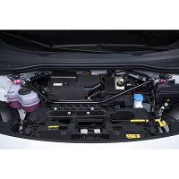 BrightLife Marterverjager - Steenmarter Verjager - Op Auto accu 12V
