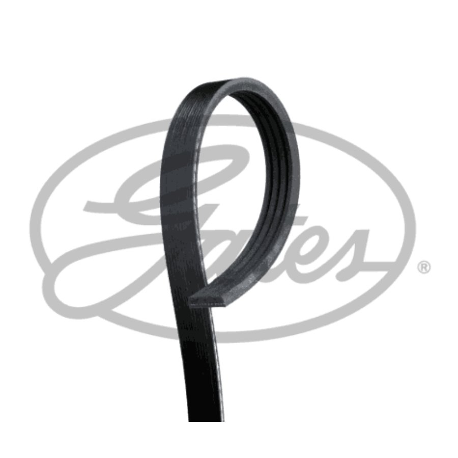 V-snaar geribd gates 4pk895sf