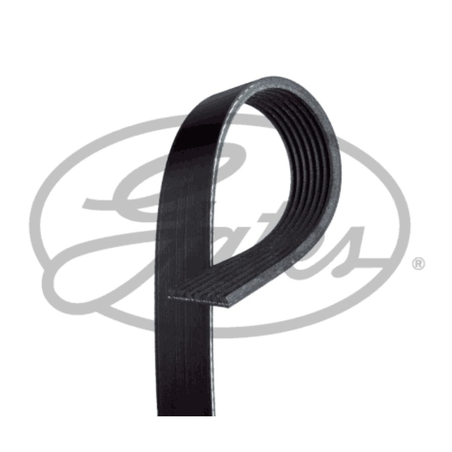 Courroie d'accessoires gates 7pk1835