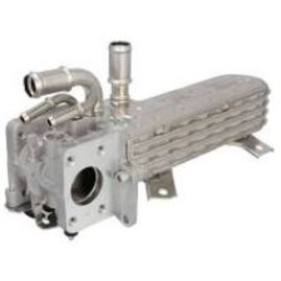 Module-egr nrf 48452