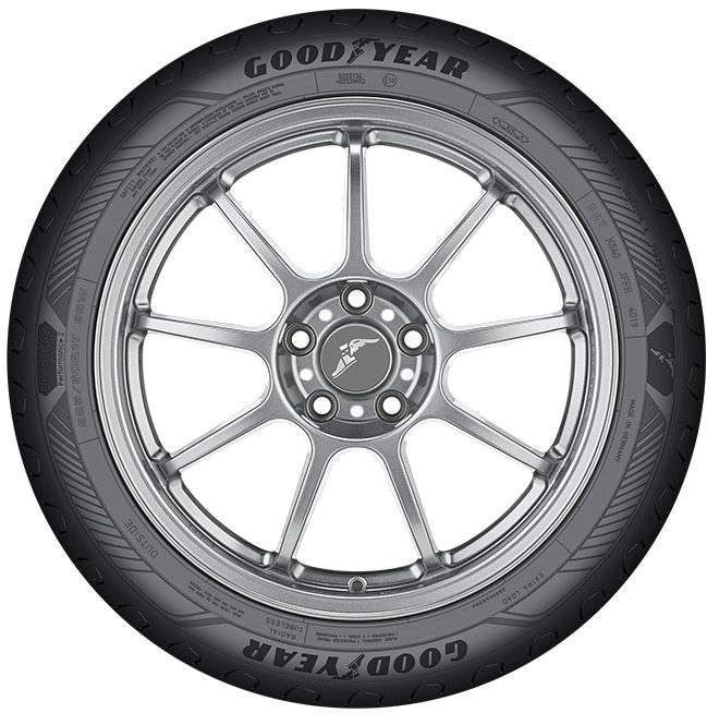 Goodyear Efficient Grip Performance 2 : de high-performance
